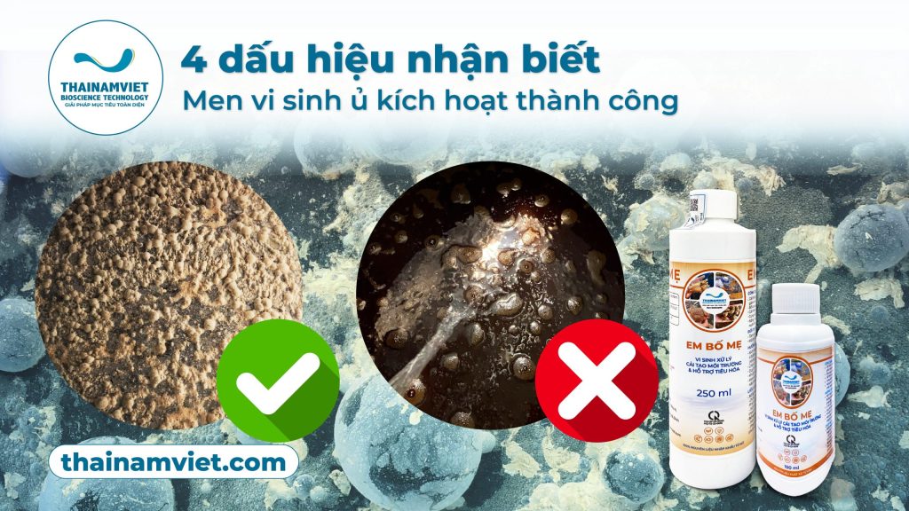 4 dấu hiệu men vi sinh ủ hư hoặc thành công