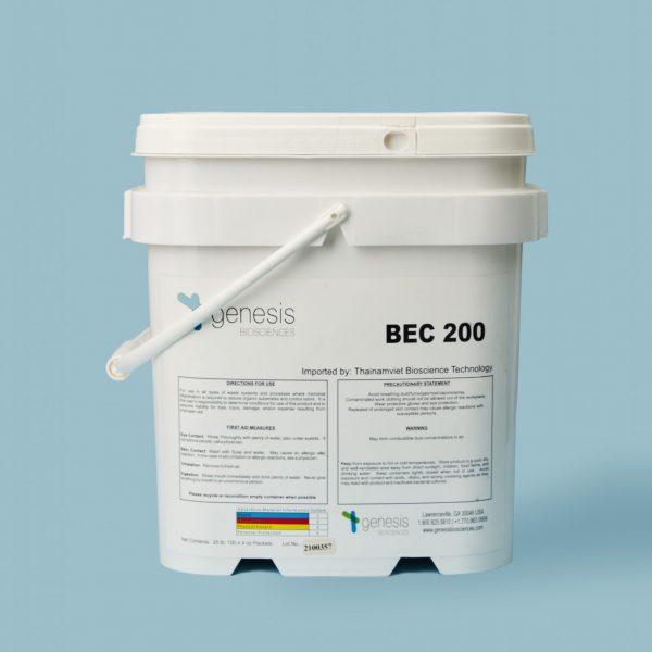 TOP 5 BỘ SẢN PHẨM VI SINH CẦN CHUẨN BỊ ĐỂ "VỀ ĐÍCH" THÀNH CÔNG CHO VỤ NUÔI TÔM 8 BEC200-MÀU TRÀ TRONG TỰ NHIÊN