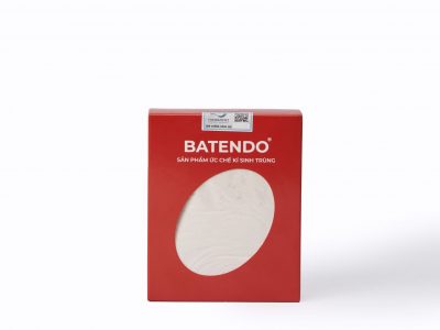 Thái Nam Việt - Trang chủ 7 BATENDO - THÁI NAM VIỆT