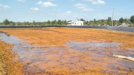 TOP 5 BỘ SẢN PHẨM VI SINH CẦN CHUẨN BỊ ĐỂ "VỀ ĐÍCH" THÀNH CÔNG CHO VỤ NUÔI TÔM 2 đất phèn