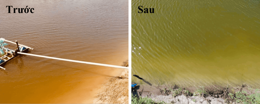 Before and after using the alum treatment microbiological product AQUALUM CONC