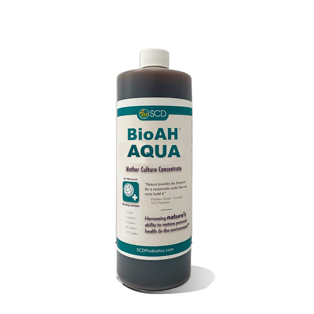 BioAH Aqua web 2