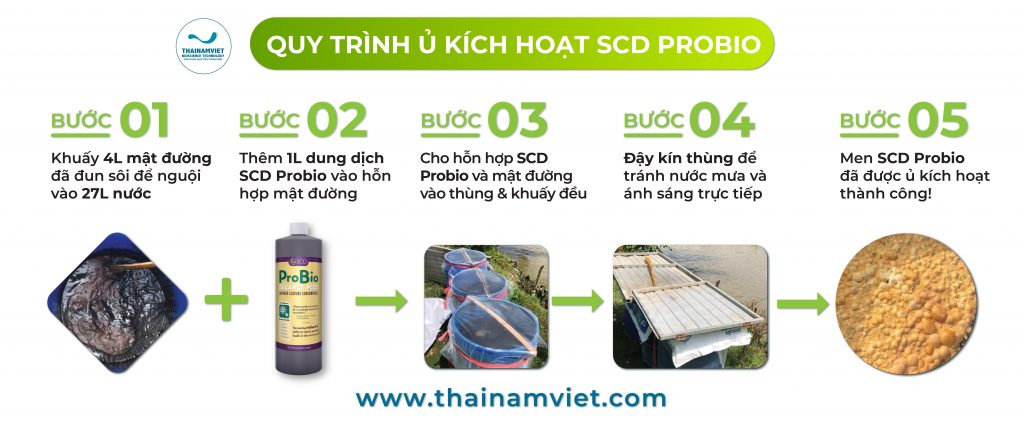 Huong dan Kich hoat SCD Probio NN 03