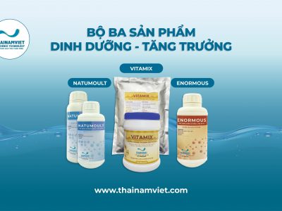 3 sản phẩm dinh dưỡng Ấn Độ