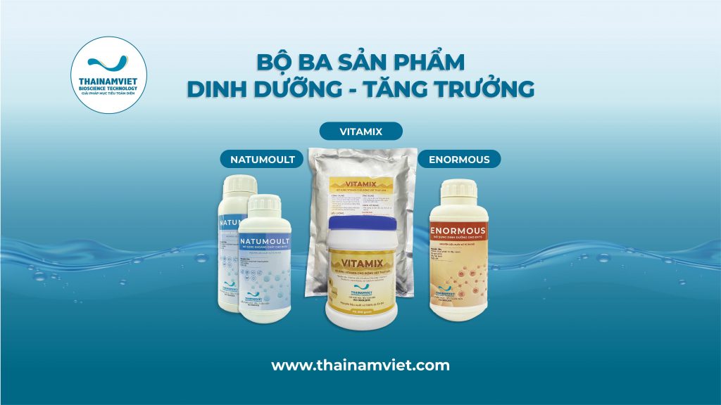 Quyết định lời - lỗ bằng 2 giải pháp tối ưu FCR khi nuôi tôm 2 Web banner 3SPAnDo 02