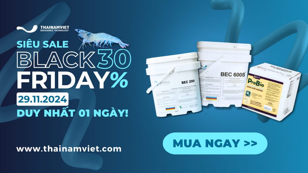 TNV BLACK FRIDAY PROMOTION 1920 x 1080 px