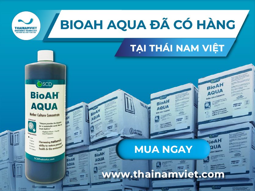 BioAH Aqua-restock-webpost