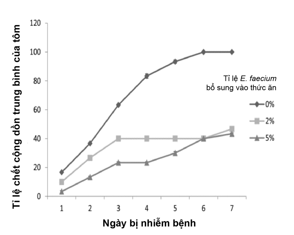 3 CHỦNG VI SINH ỨNG DỤNG HIỆU QUẢ TRONG THỨC ĂN BỔ SUNG CHO ĐỘNG VẬT THỦY SẢN 3 image
