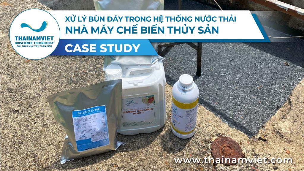 QUY TRÌNH XỬ LÝ NƯỚC VÀ CHẤT THẢI NHÀ MÁY CHẾ BIẾN - ĐÁNH TAN BÙN ĐÁY CỨNG ĐẦU VÀ KHỬ MÙI HÔI TRIỆT ĐỂ BẰNG CÔNG NGHỆ VI SINH 1 Case Study Xu ly nuoc nha may 2025 01