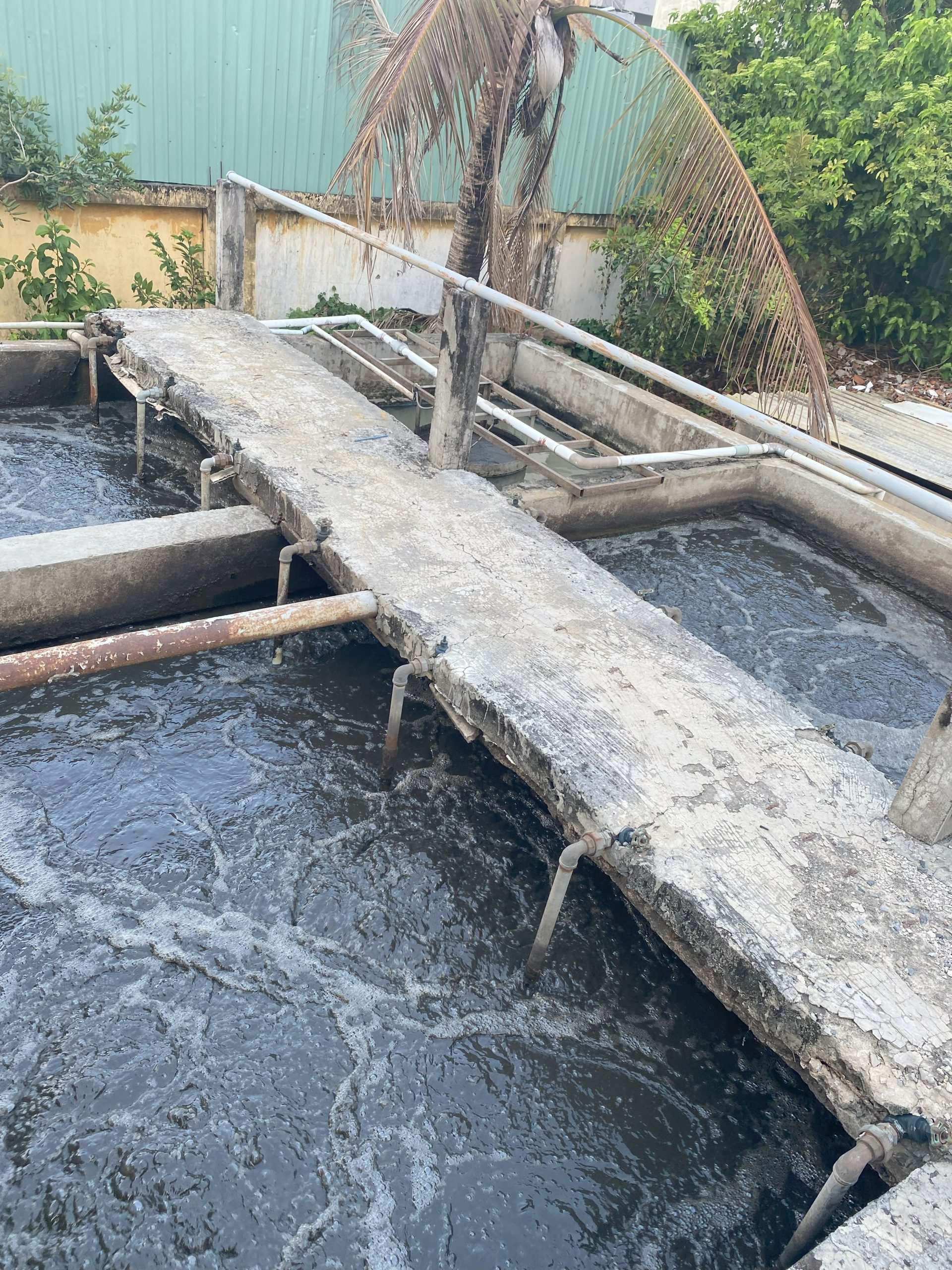 QUY TRÌNH XỬ LÝ NƯỚC VÀ CHẤT THẢI NHÀ MÁY CHẾ BIẾN - ĐÁNH TAN BÙN ĐÁY CỨNG ĐẦU VÀ KHỬ MÙI HÔI TRIỆT ĐỂ BẰNG CÔNG NGHỆ VI SINH 12 IMG 3709 scaled