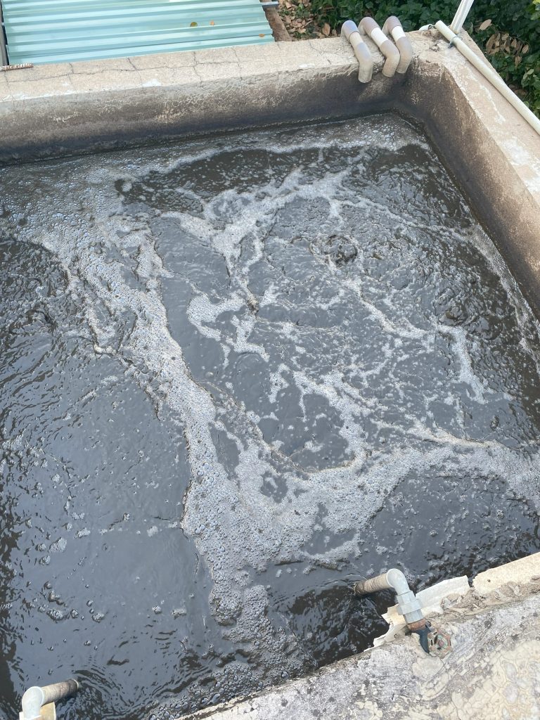 QUY TRÌNH XỬ LÝ NƯỚC VÀ CHẤT THẢI NHÀ MÁY CHẾ BIẾN - ĐÁNH TAN BÙN ĐÁY CỨNG ĐẦU VÀ KHỬ MÙI HÔI TRIỆT ĐỂ BẰNG CÔNG NGHỆ VI SINH 13 IMG 3713