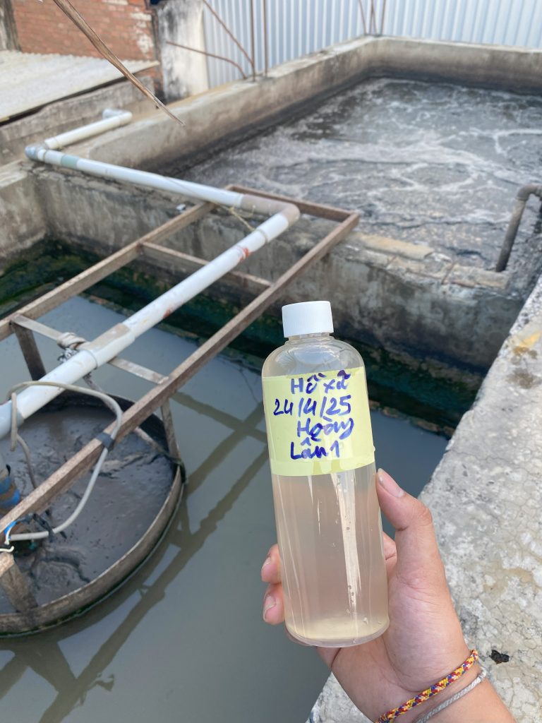 QUY TRÌNH XỬ LÝ NƯỚC VÀ CHẤT THẢI NHÀ MÁY CHẾ BIẾN - ĐÁNH TAN BÙN ĐÁY CỨNG ĐẦU VÀ KHỬ MÙI HÔI TRIỆT ĐỂ BẰNG CÔNG NGHỆ VI SINH 16 IMG 3716 1