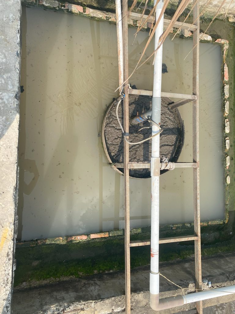 QUY TRÌNH XỬ LÝ NƯỚC VÀ CHẤT THẢI NHÀ MÁY CHẾ BIẾN - ĐÁNH TAN BÙN ĐÁY CỨNG ĐẦU VÀ KHỬ MÙI HÔI TRIỆT ĐỂ BẰNG CÔNG NGHỆ VI SINH 21 IMG 3742