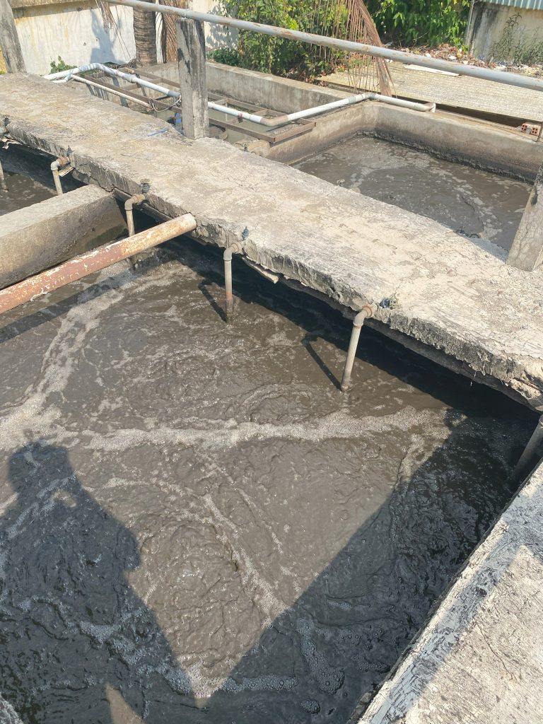 QUY TRÌNH XỬ LÝ NƯỚC VÀ CHẤT THẢI NHÀ MÁY CHẾ BIẾN - ĐÁNH TAN BÙN ĐÁY CỨNG ĐẦU VÀ KHỬ MÙI HÔI TRIỆT ĐỂ BẰNG CÔNG NGHỆ VI SINH 22 IMG 3743