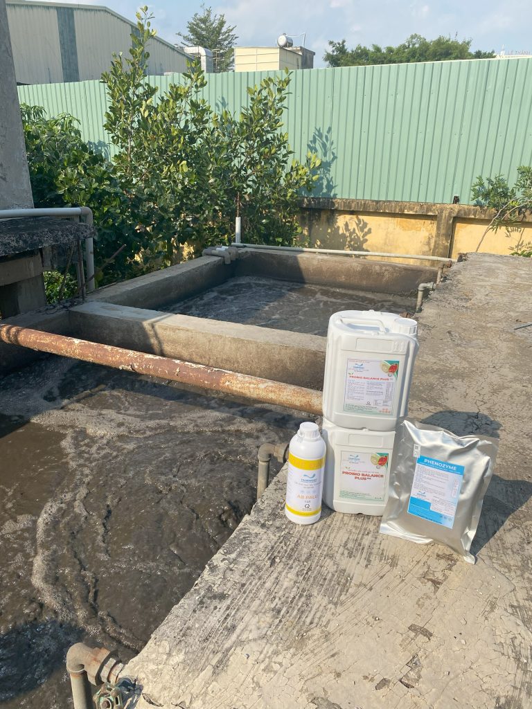 QUY TRÌNH XỬ LÝ NƯỚC VÀ CHẤT THẢI NHÀ MÁY CHẾ BIẾN - ĐÁNH TAN BÙN ĐÁY CỨNG ĐẦU VÀ KHỬ MÙI HÔI TRIỆT ĐỂ BẰNG CÔNG NGHỆ VI SINH 28 IMG 3757 1
