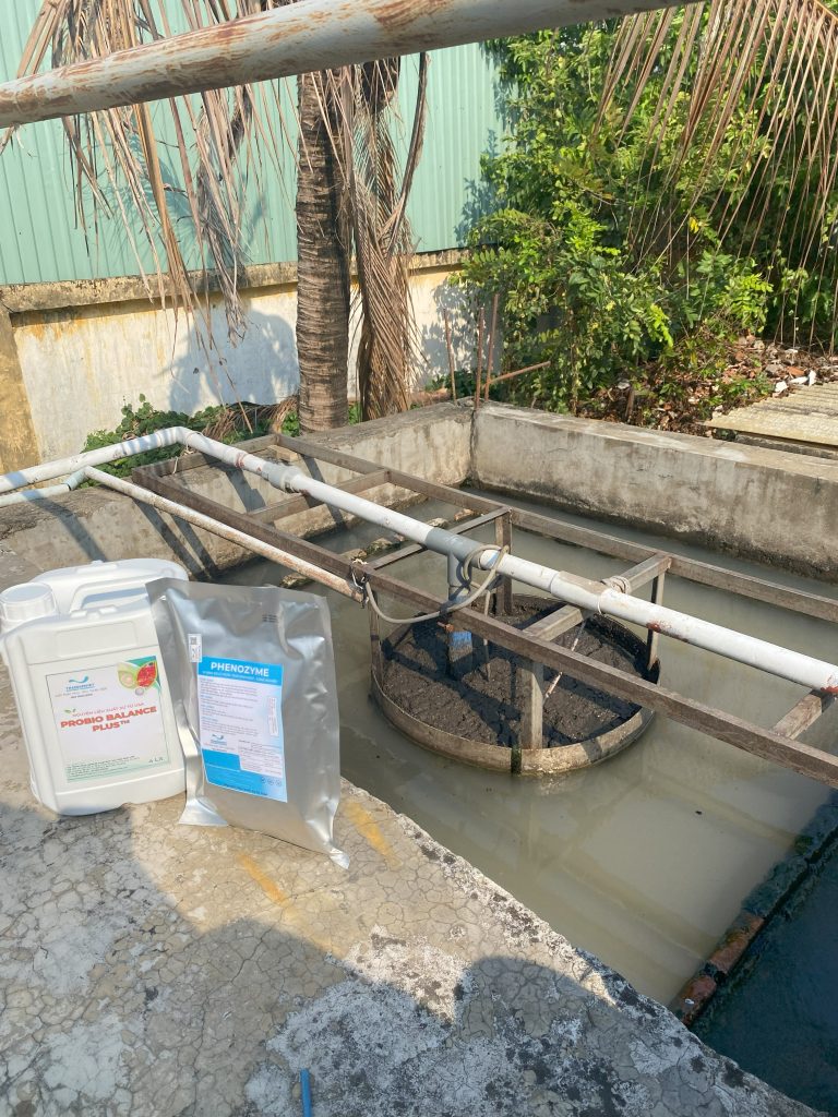QUY TRÌNH XỬ LÝ NƯỚC VÀ CHẤT THẢI NHÀ MÁY CHẾ BIẾN - ĐÁNH TAN BÙN ĐÁY CỨNG ĐẦU VÀ KHỬ MÙI HÔI TRIỆT ĐỂ BẰNG CÔNG NGHỆ VI SINH 29 IMG 3766