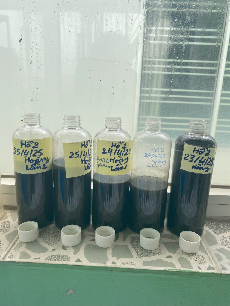 QUY TRÌNH XỬ LÝ NƯỚC VÀ CHẤT THẢI NHÀ MÁY CHẾ BIẾN - ĐÁNH TAN BÙN ĐÁY CỨNG ĐẦU VÀ KHỬ MÙI HÔI TRIỆT ĐỂ BẰNG CÔNG NGHỆ VI SINH 35 IMG 3788