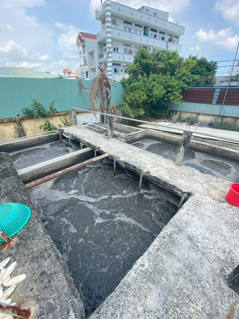QUY TRÌNH XỬ LÝ NƯỚC VÀ CHẤT THẢI NHÀ MÁY CHẾ BIẾN - ĐÁNH TAN BÙN ĐÁY CỨNG ĐẦU VÀ KHỬ MÙI HÔI TRIỆT ĐỂ BẰNG CÔNG NGHỆ VI SINH 37 IMG 3789