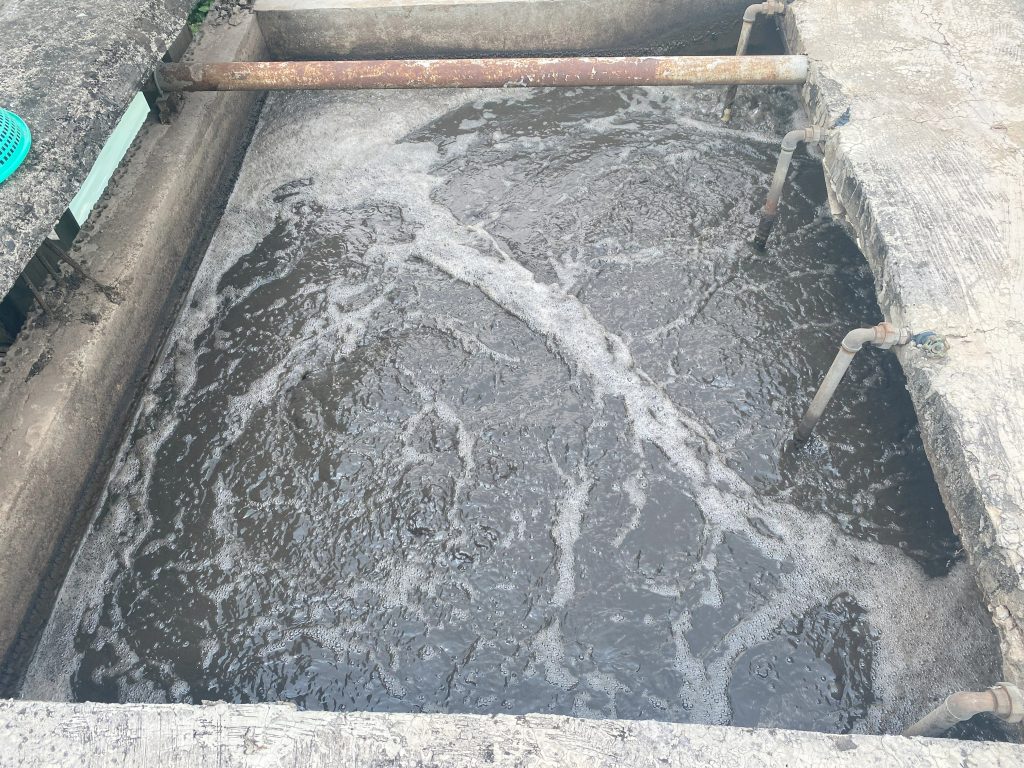 QUY TRÌNH XỬ LÝ NƯỚC VÀ CHẤT THẢI NHÀ MÁY CHẾ BIẾN - ĐÁNH TAN BÙN ĐÁY CỨNG ĐẦU VÀ KHỬ MÙI HÔI TRIỆT ĐỂ BẰNG CÔNG NGHỆ VI SINH 38 IMG 3790
