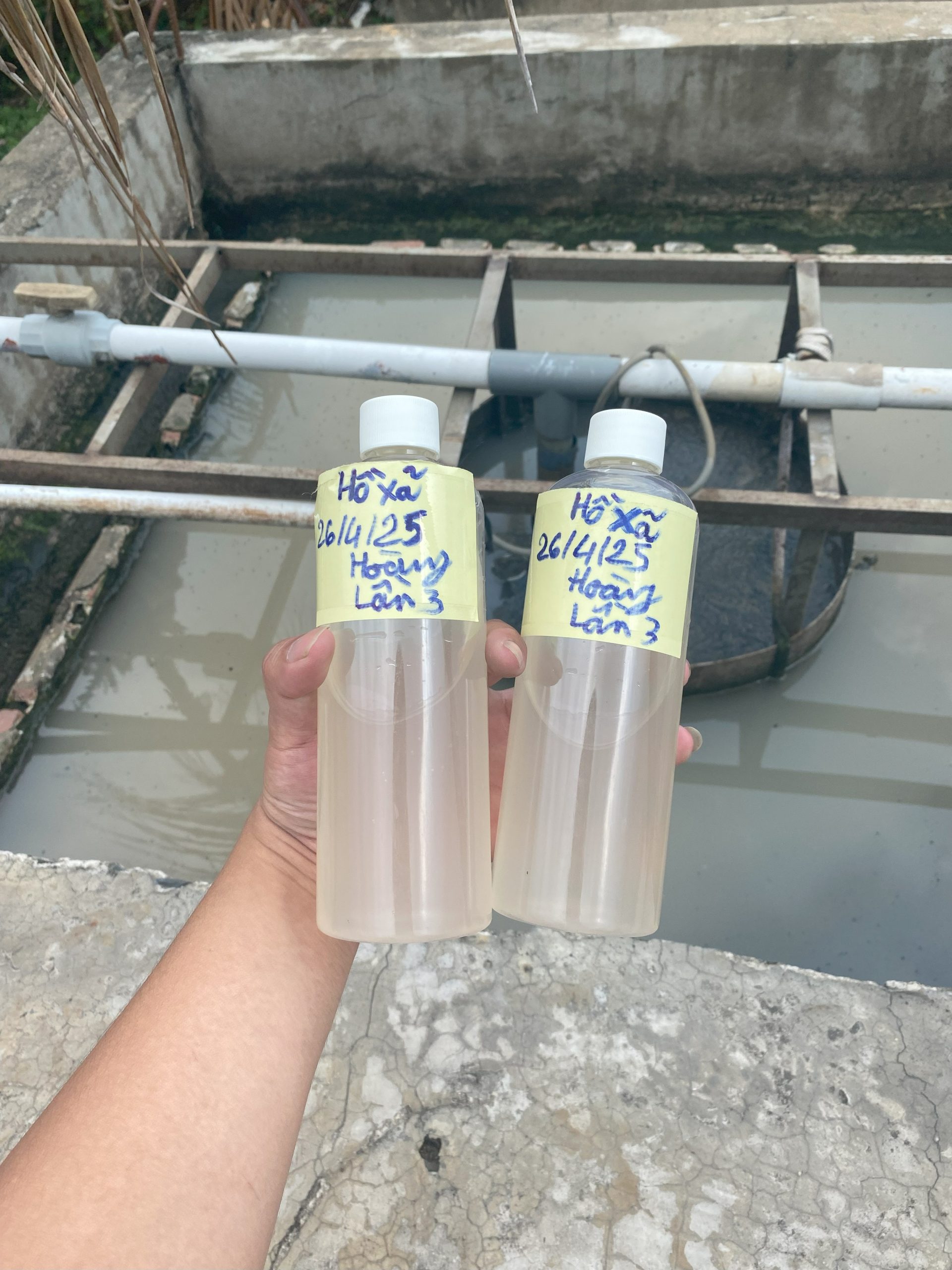 QUY TRÌNH XỬ LÝ NƯỚC VÀ CHẤT THẢI NHÀ MÁY CHẾ BIẾN - ĐÁNH TAN BÙN ĐÁY CỨNG ĐẦU VÀ KHỬ MÙI HÔI TRIỆT ĐỂ BẰNG CÔNG NGHỆ VI SINH 41 IMG 3797 scaled