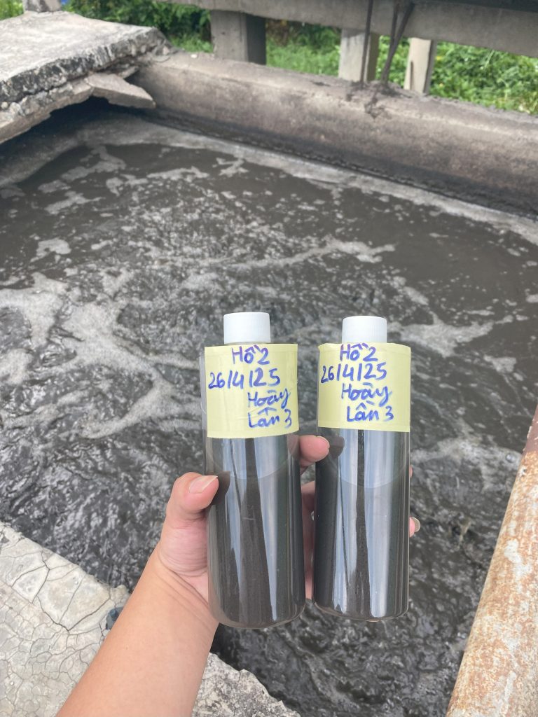 QUY TRÌNH XỬ LÝ NƯỚC VÀ CHẤT THẢI NHÀ MÁY CHẾ BIẾN - ĐÁNH TAN BÙN ĐÁY CỨNG ĐẦU VÀ KHỬ MÙI HÔI TRIỆT ĐỂ BẰNG CÔNG NGHỆ VI SINH 42 IMG 3799