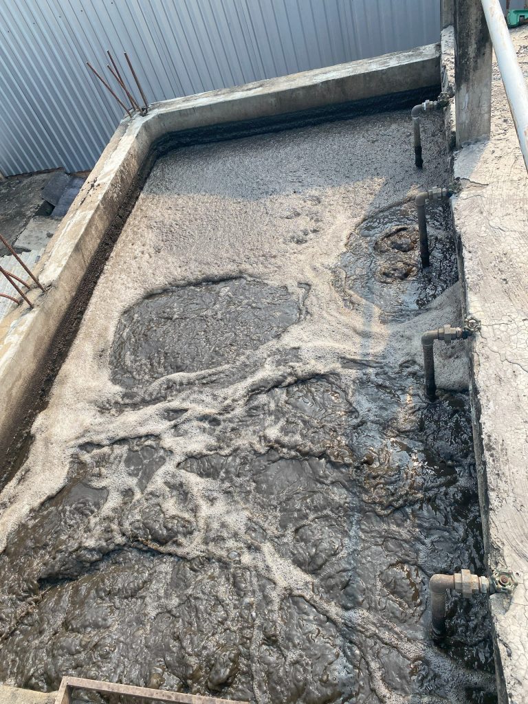 QUY TRÌNH XỬ LÝ NƯỚC VÀ CHẤT THẢI NHÀ MÁY CHẾ BIẾN - ĐÁNH TAN BÙN ĐÁY CỨNG ĐẦU VÀ KHỬ MÙI HÔI TRIỆT ĐỂ BẰNG CÔNG NGHỆ VI SINH 48 IMG 3837