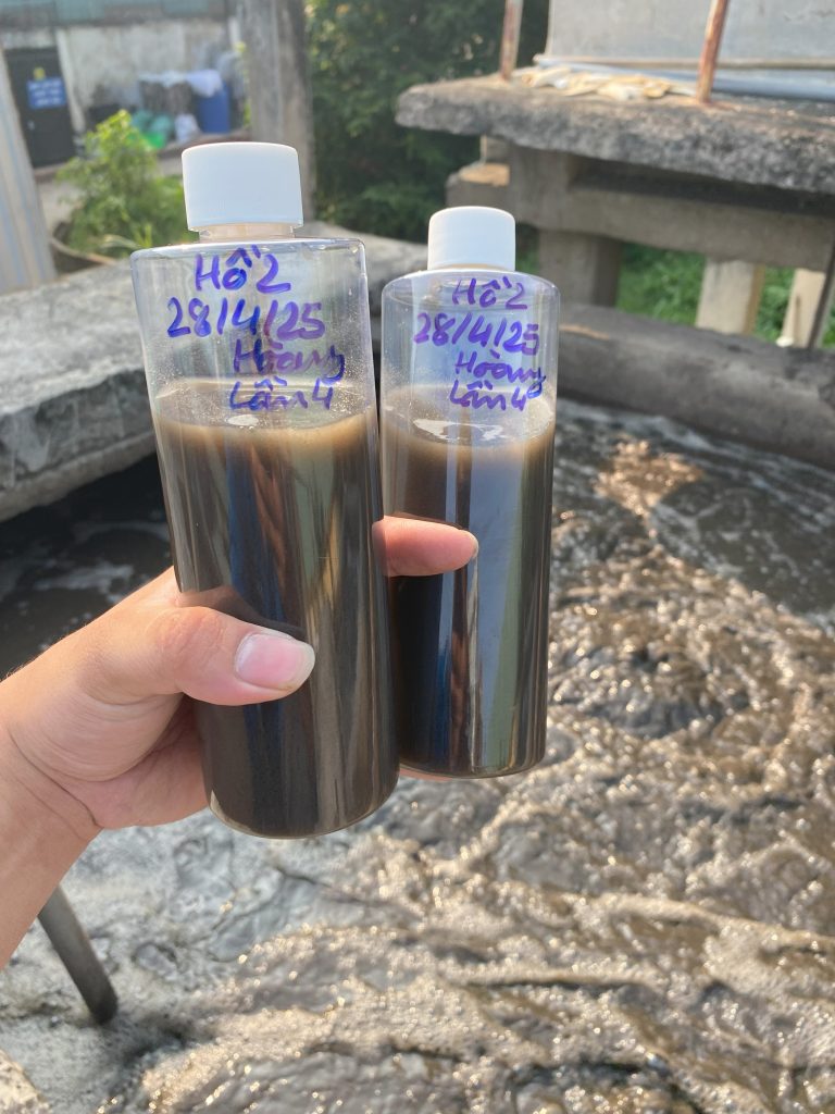 QUY TRÌNH XỬ LÝ NƯỚC VÀ CHẤT THẢI NHÀ MÁY CHẾ BIẾN - ĐÁNH TAN BÙN ĐÁY CỨNG ĐẦU VÀ KHỬ MÙI HÔI TRIỆT ĐỂ BẰNG CÔNG NGHỆ VI SINH 49 IMG 3839 1