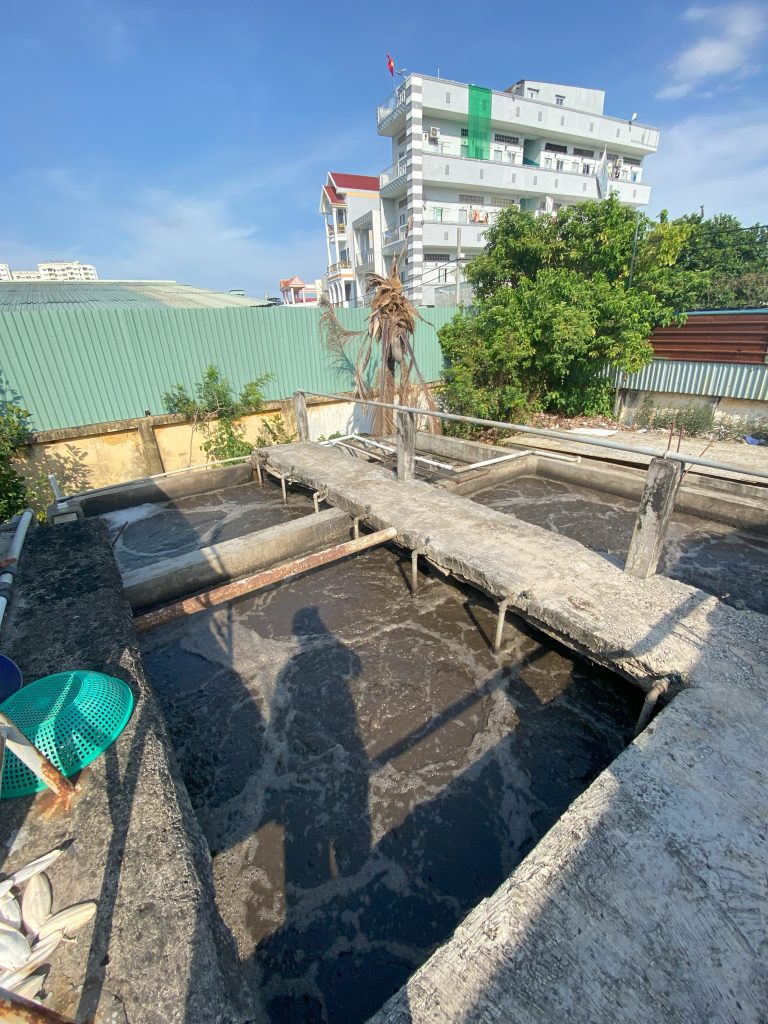 QUY TRÌNH XỬ LÝ NƯỚC VÀ CHẤT THẢI NHÀ MÁY CHẾ BIẾN - ĐÁNH TAN BÙN ĐÁY CỨNG ĐẦU VÀ KHỬ MÙI HÔI TRIỆT ĐỂ BẰNG CÔNG NGHỆ VI SINH 66 IMG 4077