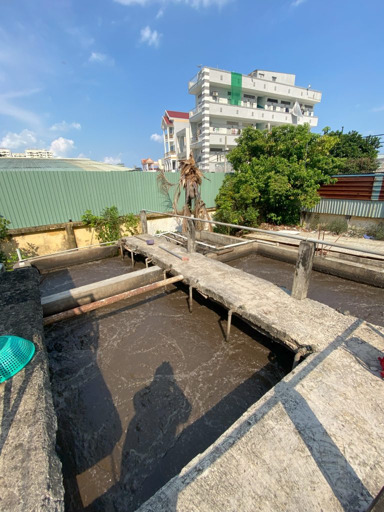 QUY TRÌNH XỬ LÝ NƯỚC VÀ CHẤT THẢI NHÀ MÁY CHẾ BIẾN - ĐÁNH TAN BÙN ĐÁY CỨNG ĐẦU VÀ KHỬ MÙI HÔI TRIỆT ĐỂ BẰNG CÔNG NGHỆ VI SINH 75 IMG 4265
