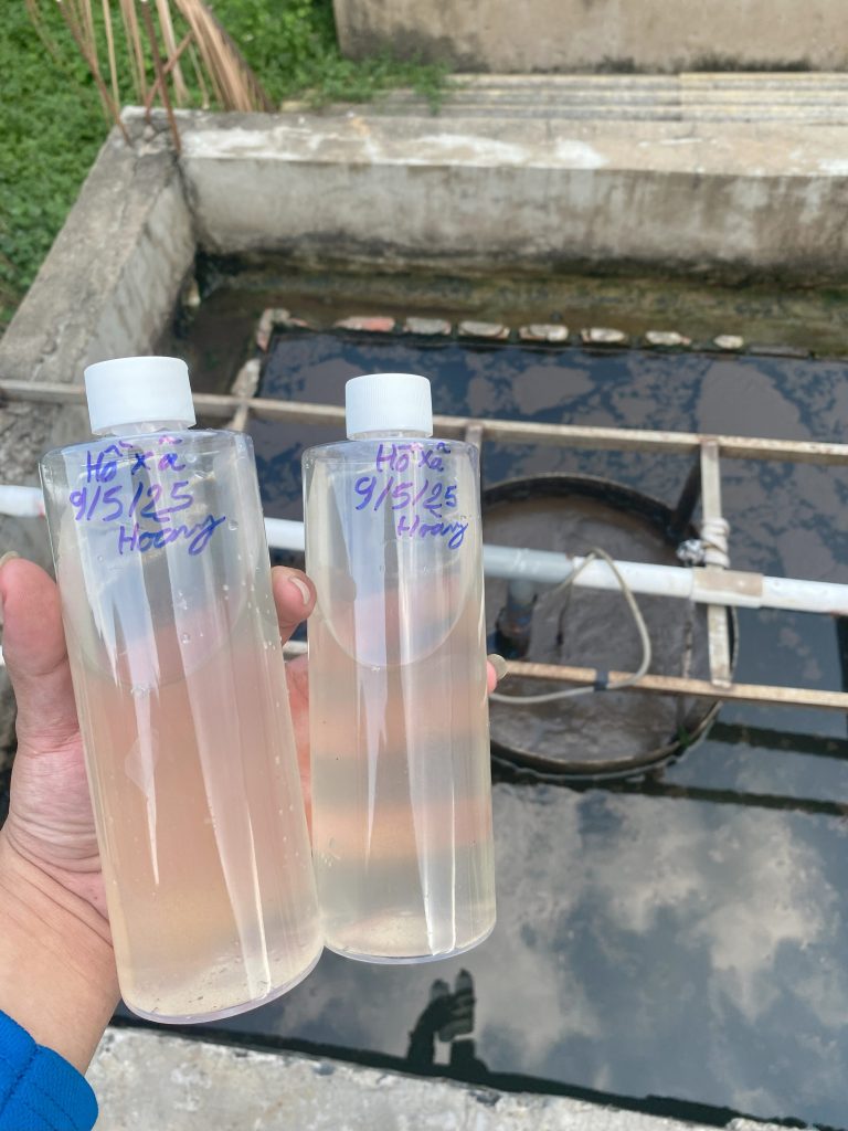 QUY TRÌNH XỬ LÝ NƯỚC VÀ CHẤT THẢI NHÀ MÁY CHẾ BIẾN - ĐÁNH TAN BÙN ĐÁY CỨNG ĐẦU VÀ KHỬ MÙI HÔI TRIỆT ĐỂ BẰNG CÔNG NGHỆ VI SINH 78 IMG 4269