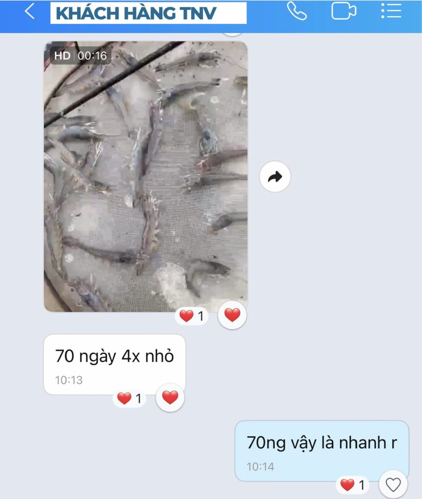 Feedback Stimuliv SLP 03