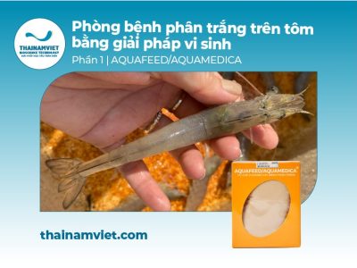 Thái Nam Việt - Trang chủ 13 Webpost-AquafeedAquamedica-400x300