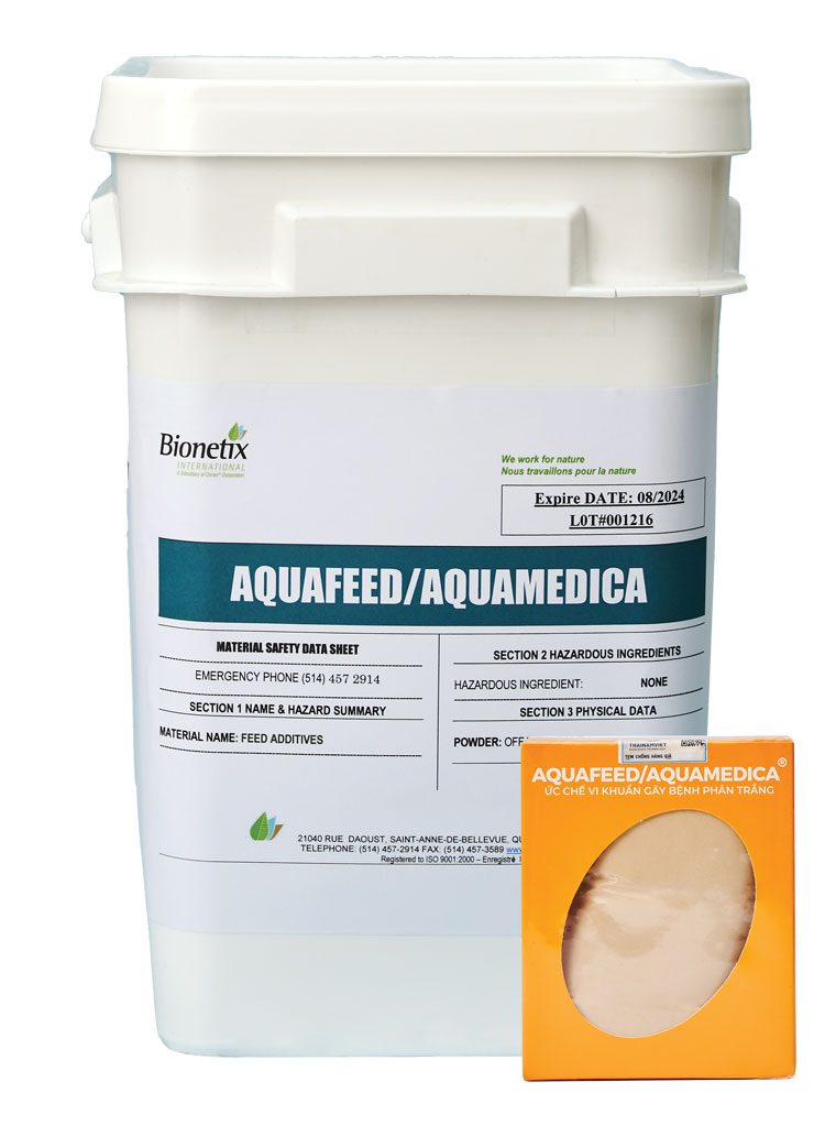 Phòng bệnh phân trắng trên tôm hiệu quả bằng giải pháp vi sinh | Phần 1 - Aquafeed/Aquamedica 3 image 1 7
