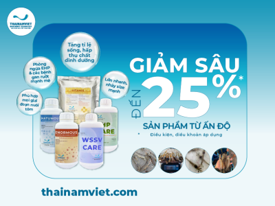 Chương trình khuyến mãi sản phẩm Ấn Độ T8/25 - Thumbnail 400x300