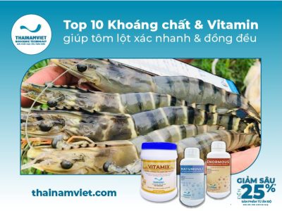 10 Khoáng chất & Vitamin hỗ trợ tôm lột xác-vitamix hộp-300x400