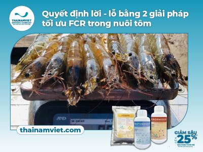 10 Khoáng chất & Vitamin hỗ trợ tôm lột xác-Thumbnail