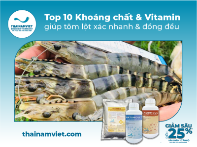10 Khoáng chất & Vitamin hỗ trợ tôm lột xác