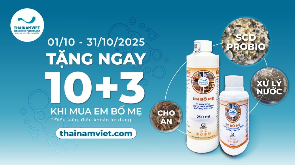 MUA 10 TẶNG 3 MEN VI SINH GỐC SCD PROBIO - XỬ LÝ NƯỚC AO NUÔI TRỒNG THỦY SẢN TRONG 2H 1 Web Banner-1920x1080-Chương trình khuyến mãi mua 10 tặng 3 men vi sinh gốc EM Bố mẹ - T10.25