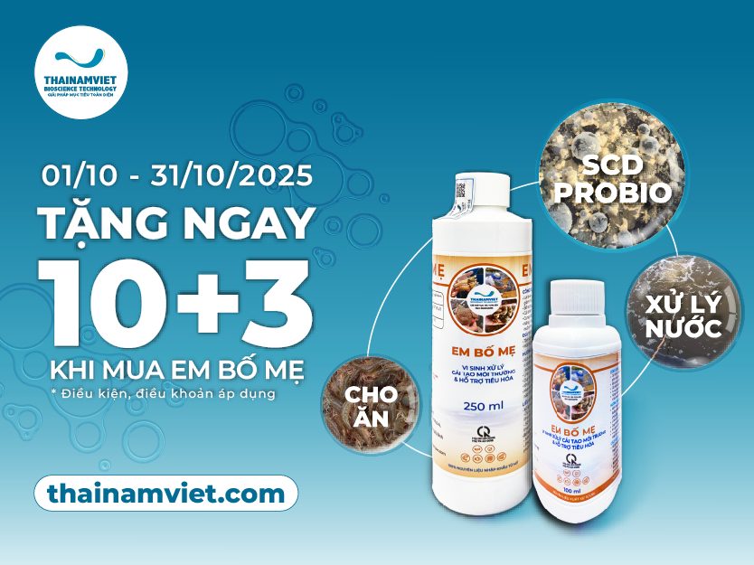 Chương trình khuyến mãi mua 10 tặng 3 EM Bố mẹ - T10.25 - Thumbnail 400x300