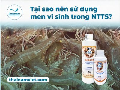 Thái Nam Việt - Trang chủ 14 Tại sao sử dụng men vi sinh? Men vi sinh SCD Probio Balance Plus 250ml & 100ml