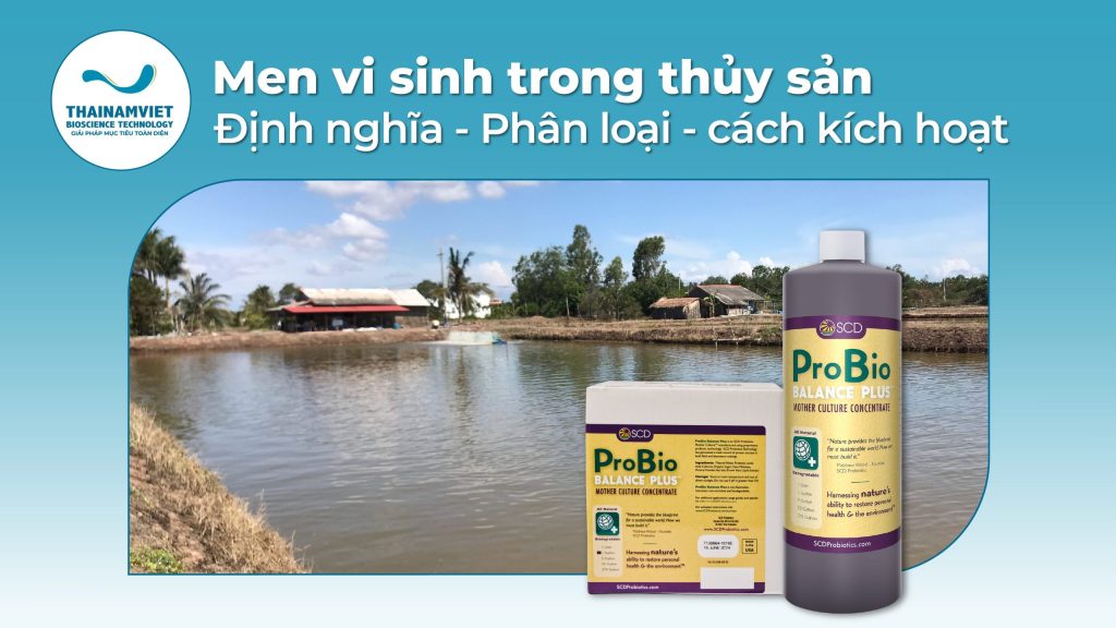 Men vi sinh SCD Probio Webpost - 9x16