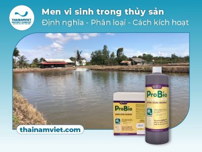 Men vi sinh SCD Probio Webpost Thumbnail 400x500