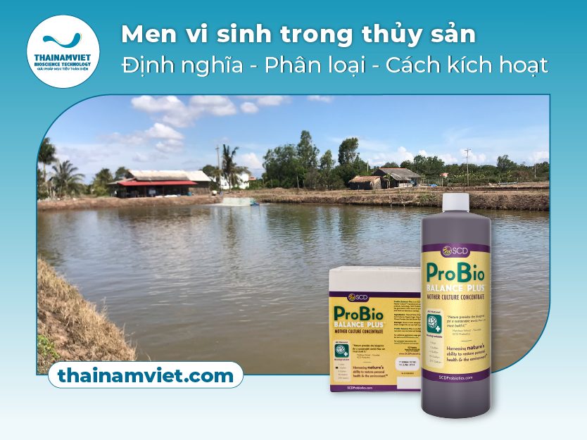 Men vi sinh SCD Probio Webpost Thumbnail 400x500