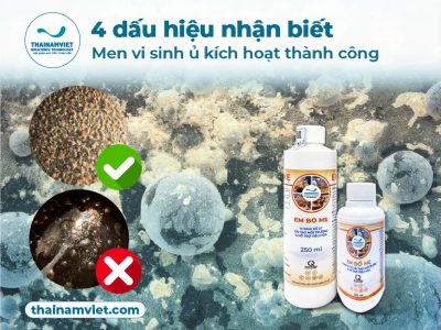 Thái Nam Việt - Trang chủ 13 4 dấu hiệu kích hoạt men vi sinh bị hư hoặc thành công