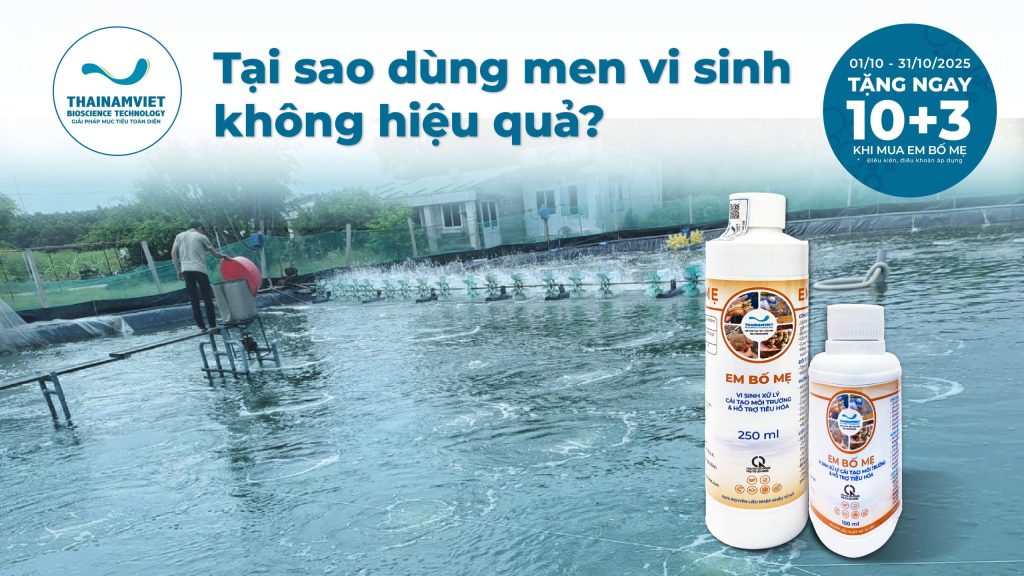 6 lý do dùng men vi sinh không hiệu quả như mong muốn 1 Men vi sinh không hiệu quả-Post Banner