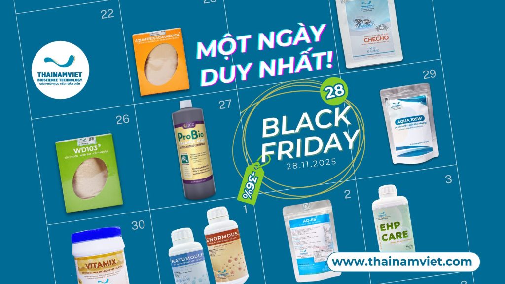 DUY NHẤT 1 NGÀY! KHUYẾN MÃI BLACK FRIDAY LÊN ĐẾN 36% TOÀN BỘ SẢN PHẨM 1 Black Friday 2025 - Khuyến mãi 36%