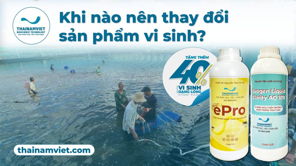 5 DẤU HIỆU NÊN ĐỔI VI SINH CHO AO NUÔI TÔM - THỦY SẢN 1 FB Social Post thang 11