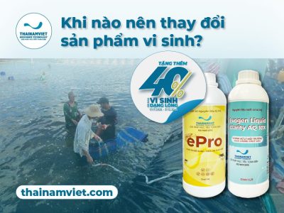 FB Social Post thang 11 T6 Post 3 Web Thumbnail Preview 400x300 1