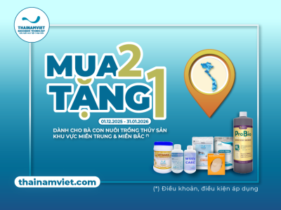 FB Social Post thang 12 T12 Post 2 Web Thumbnail Preview 400x300 2