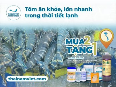 FB Social Post thang 12 T12 Web Thumbnail Preview 400x300 1